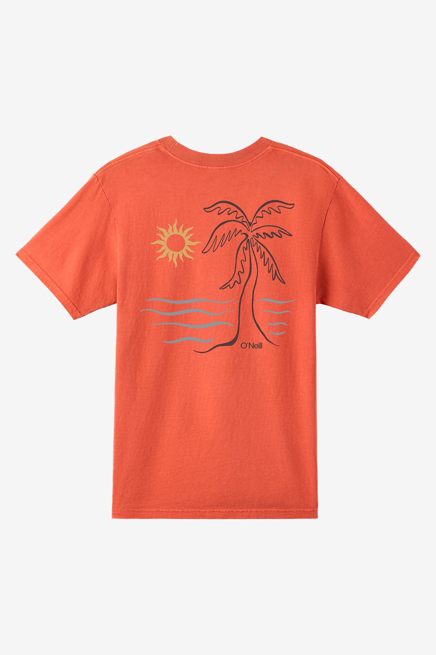 O'Riginals Sun Palm Relaxed Fit Tee - Baked Clay | O'Neill