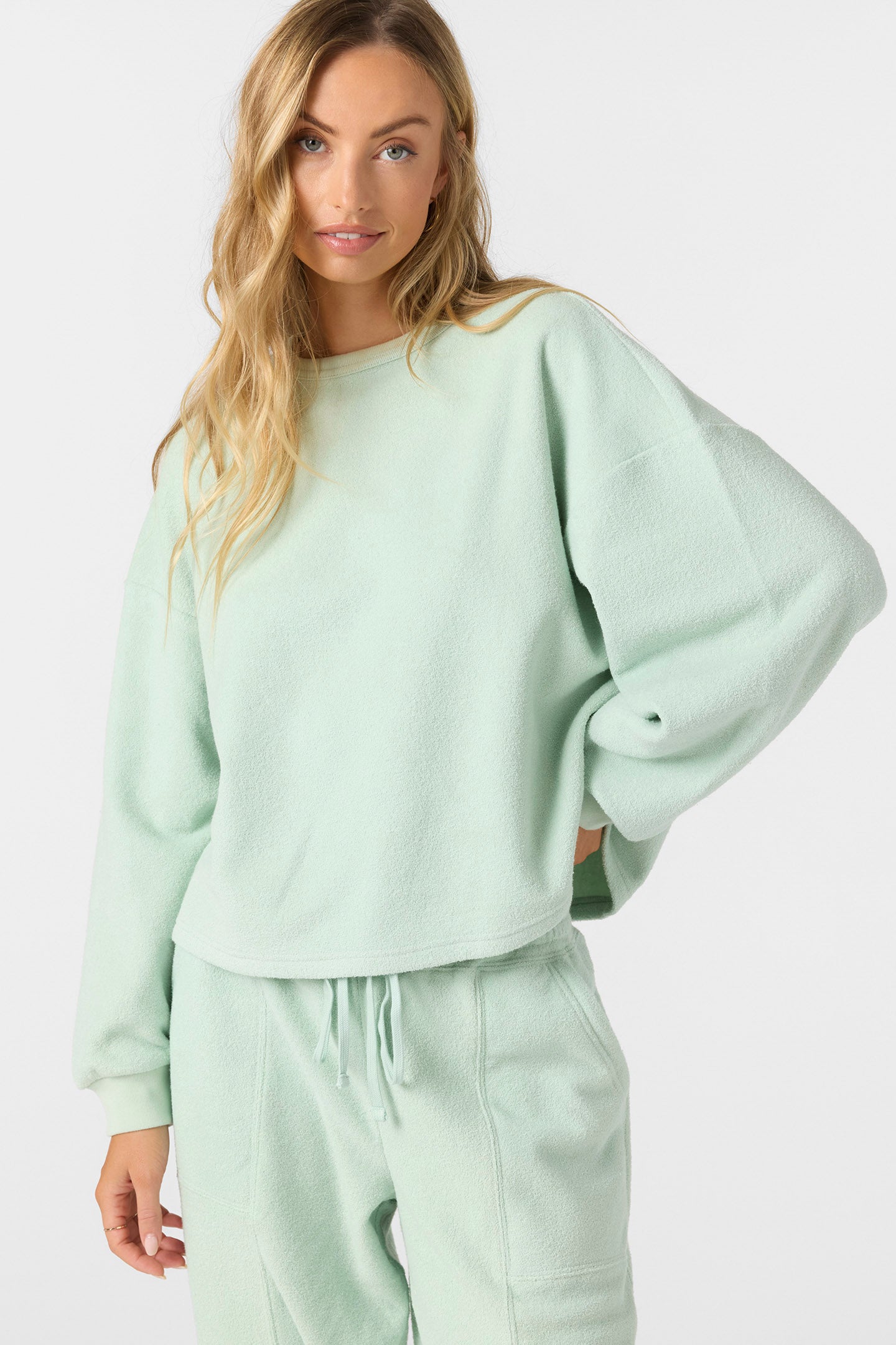 STONE  ミントグリーン トレーナー Wavelength Crew Crew Neck Fleece - Seafoam | O'Neill