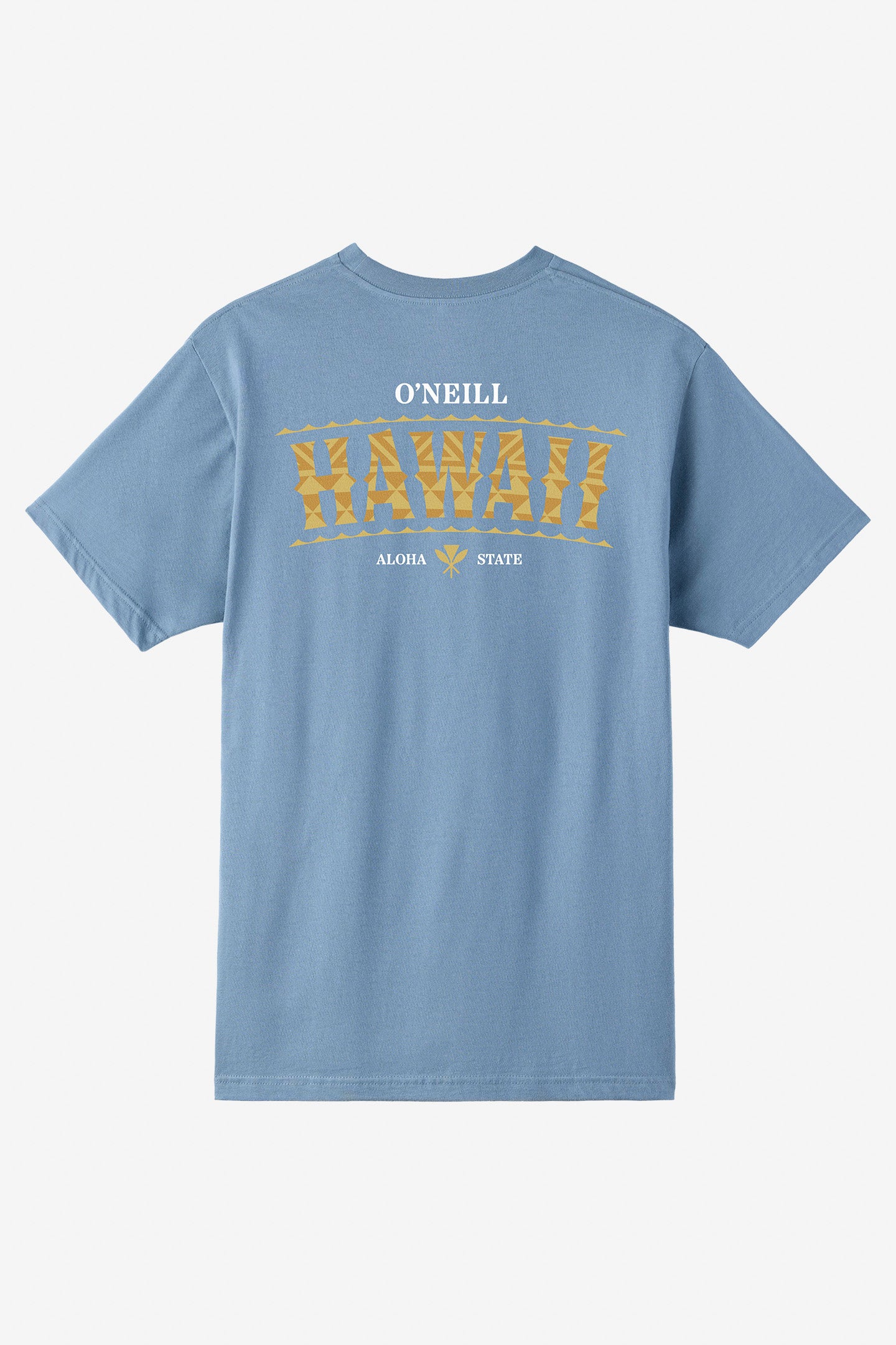 Boy's Hawaii Arch Tee - Blue Mirage | O'Neill