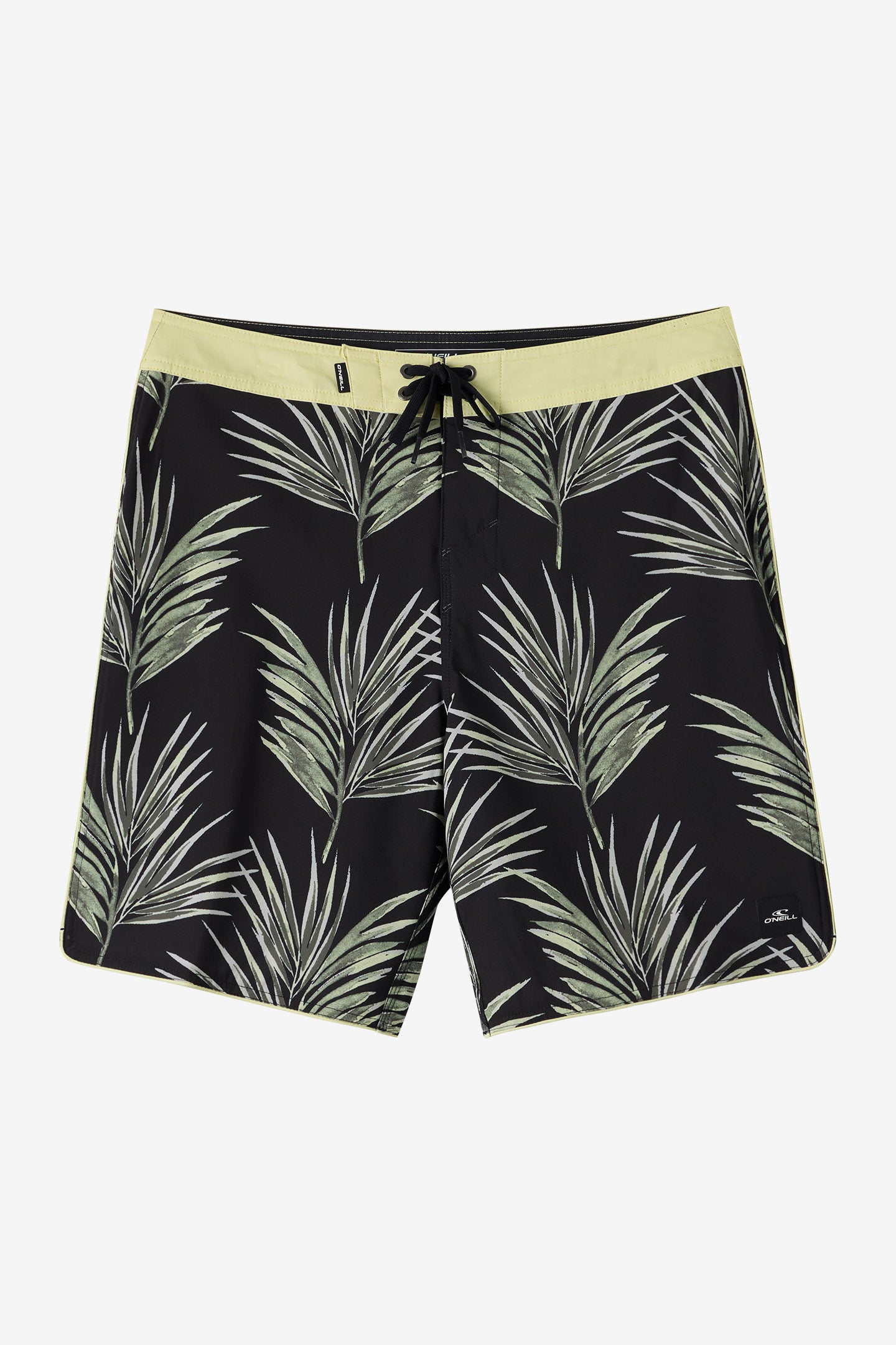 Hyperfreak Mysto Scallop 19