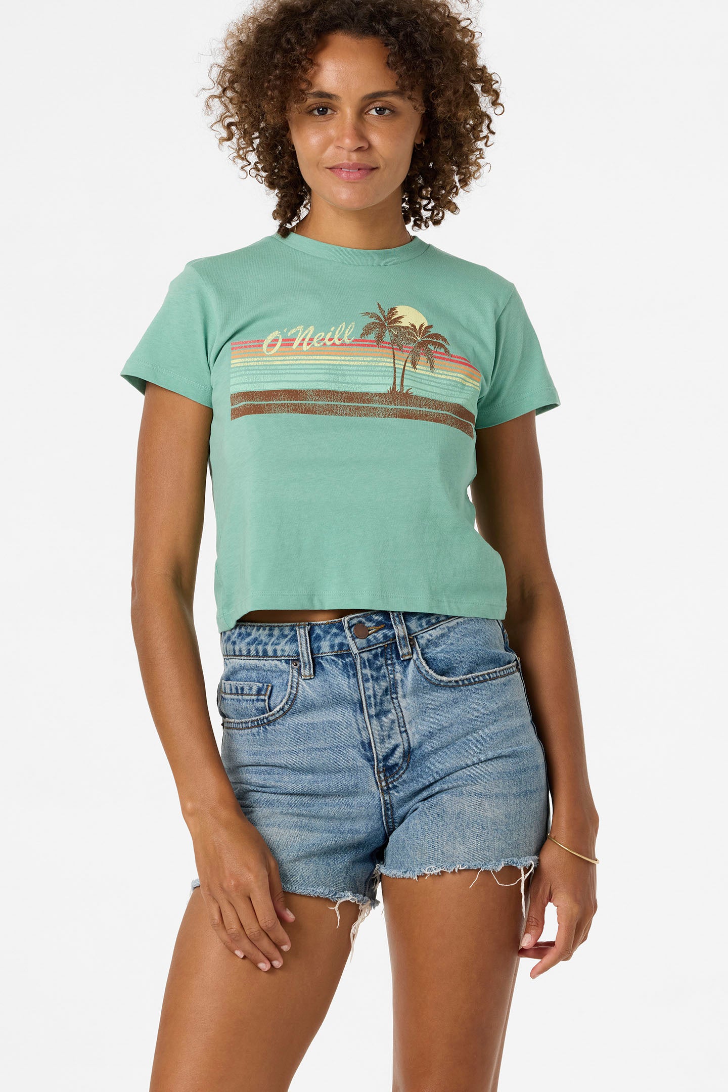 Retro Stripe Fitted Tee - Green | O'Neill