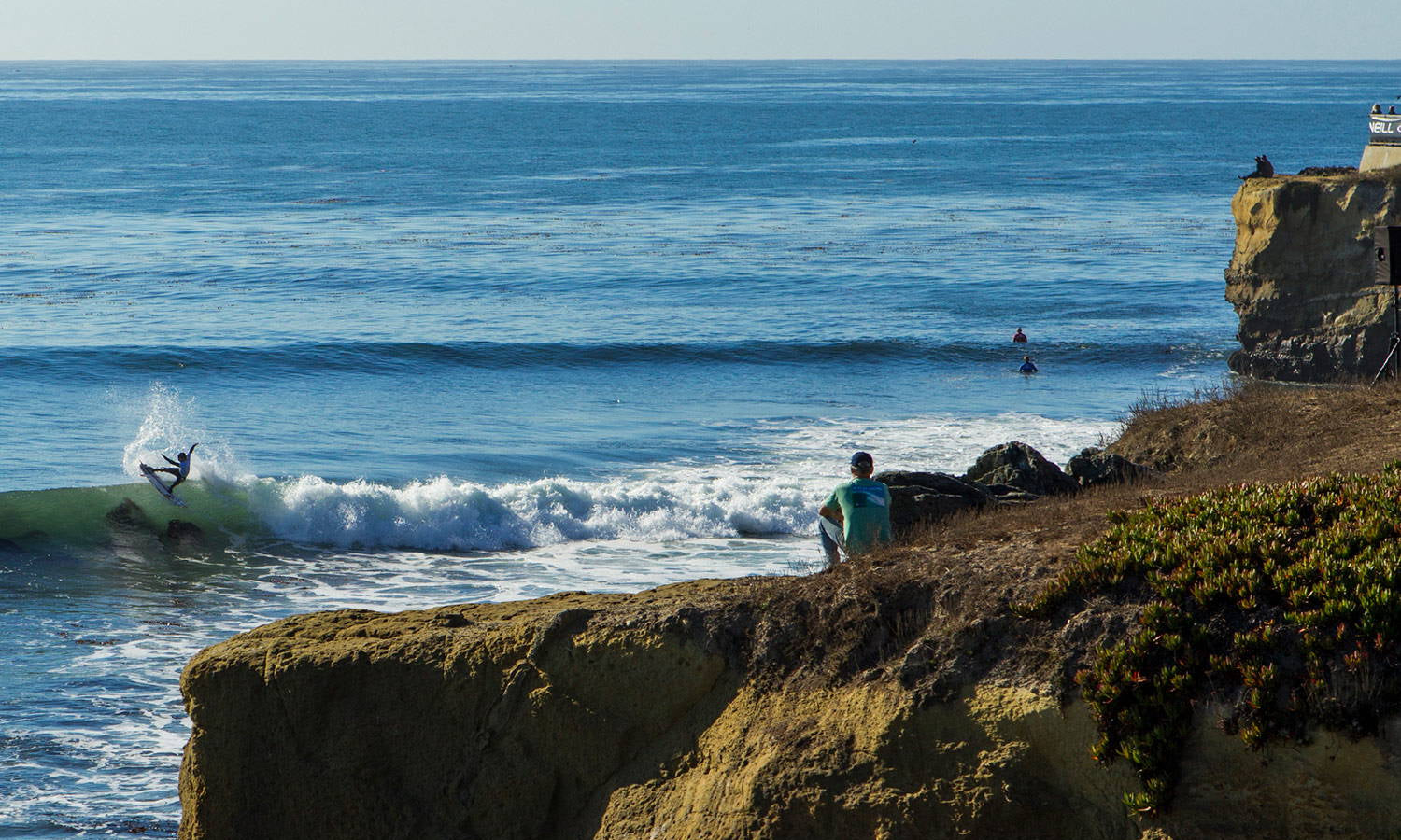 FREAK SHOW PRO RECAP