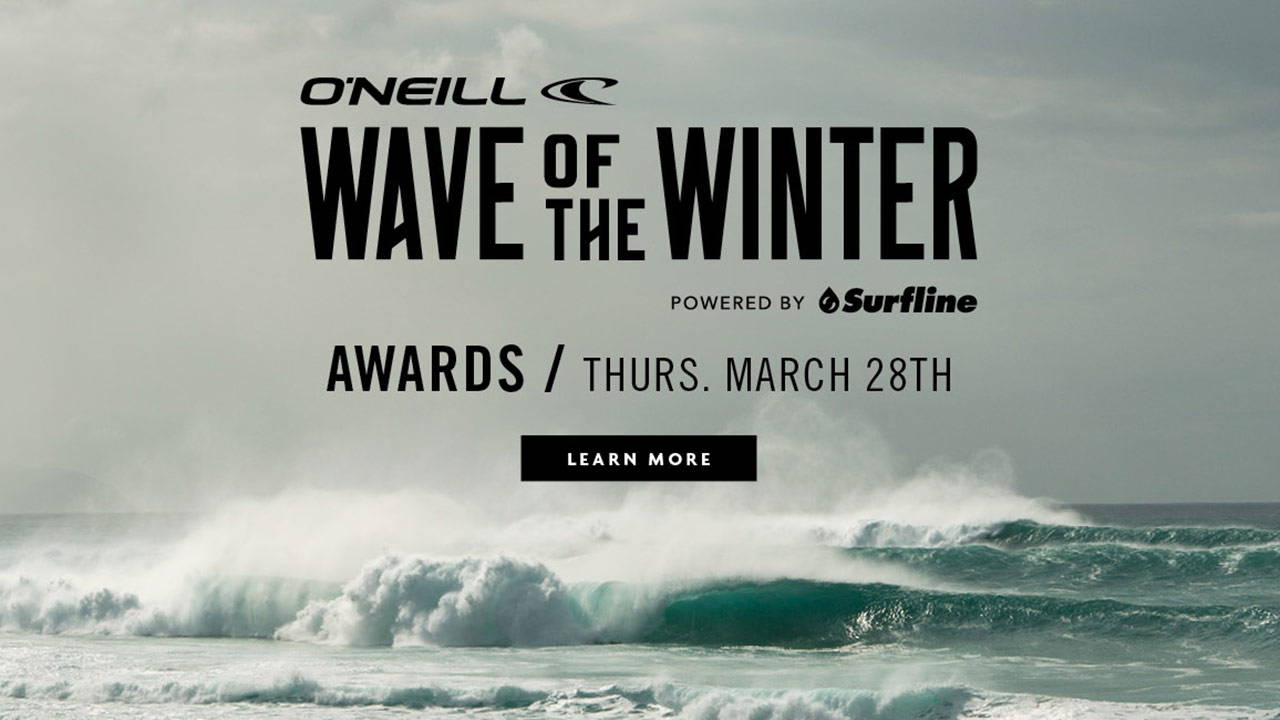 WAVE OF THE WINTER: AWARDS
