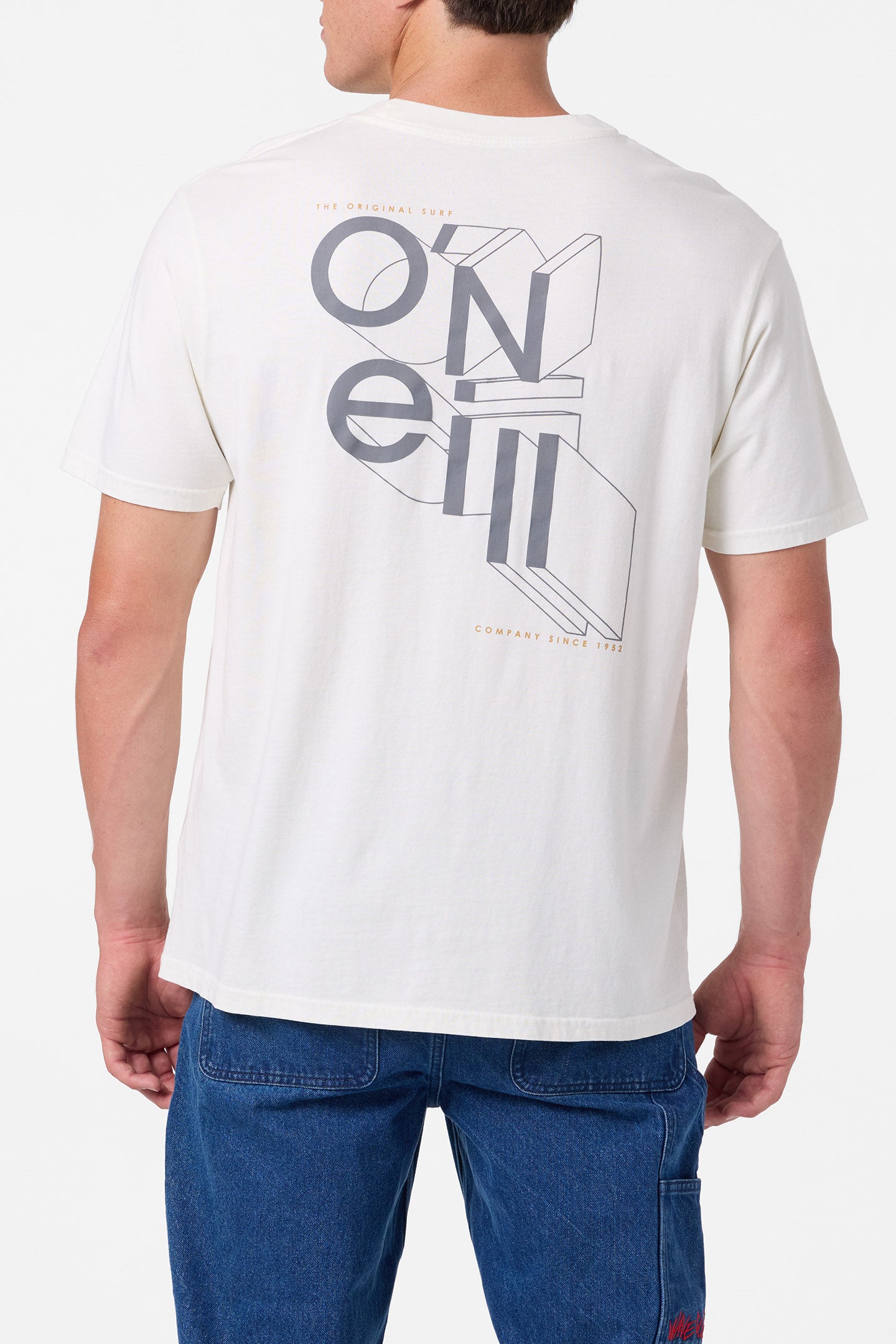 O'Riginals Cubed Vintage Tee - O'Neill