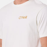 O'Riginals Cubed Vintage Tee - O'Neill