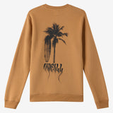 Boy's Shadow Classic Crew Neck Fleece