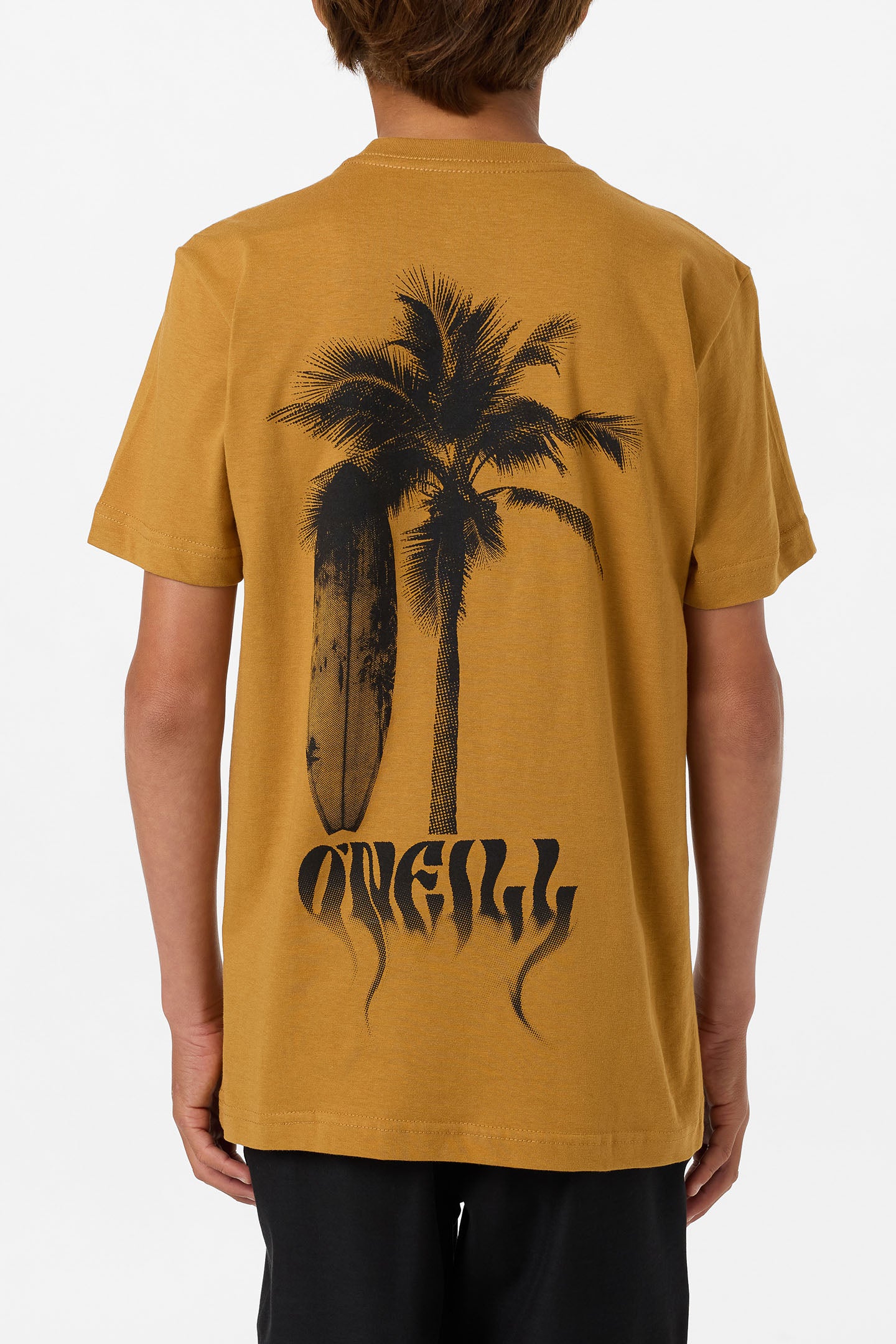 BOYS SHADOW CLASSIC SS TEE BONE BROWN – O'Neill