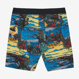 Hyperfreak Mysto Artist 19" Boardshorts
