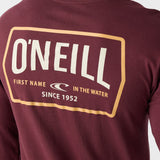 Dither Standard Fit Long Sleeve Tee