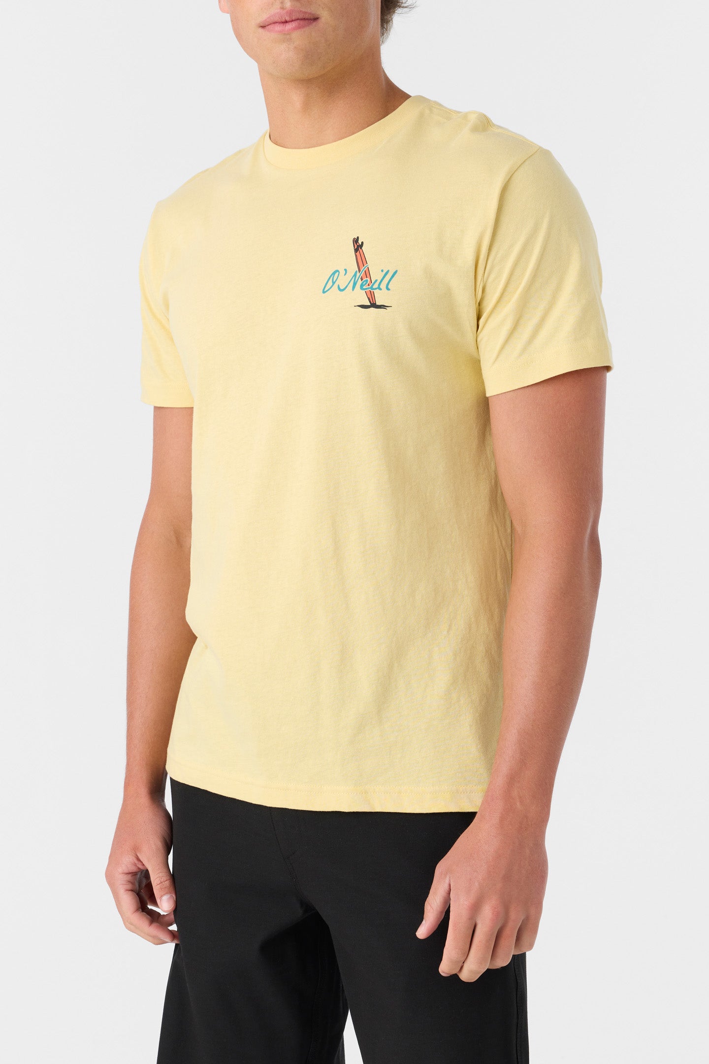 ALWAYS SUMMER STANDARD FIT TEE