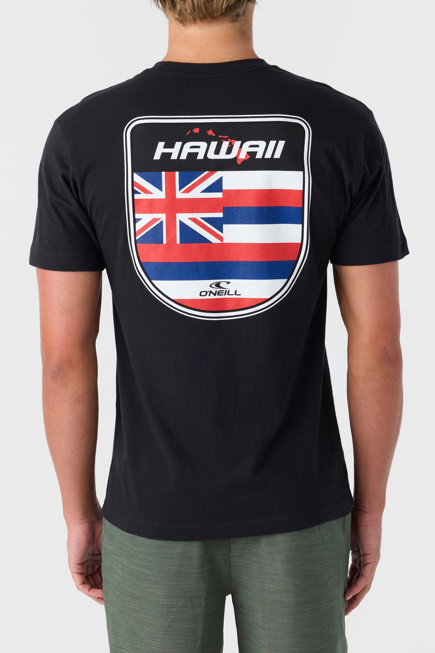 HAWAII BADGE STANDARD FIT TEE