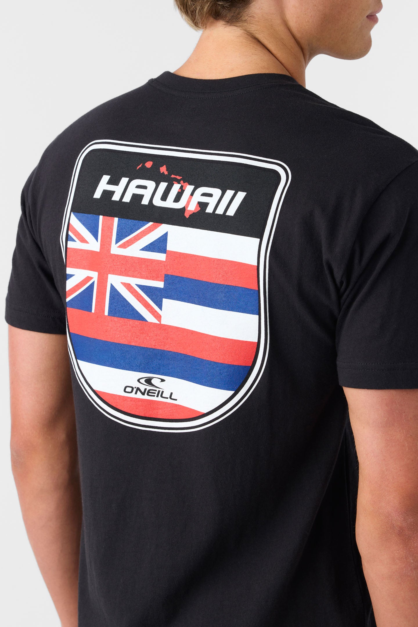 HAWAII BADGE STANDARD FIT TEE