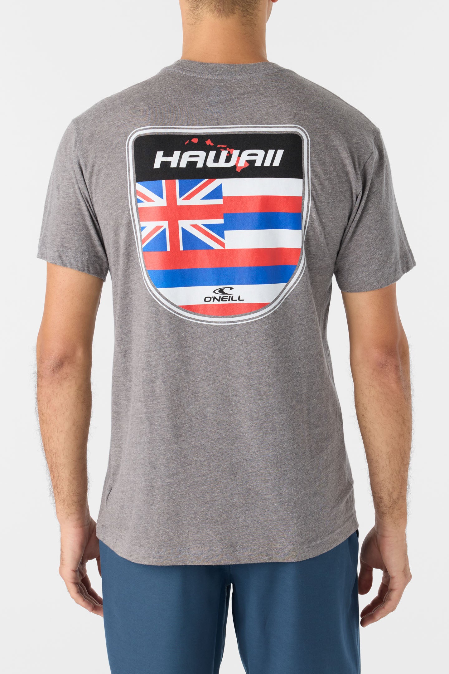 HAWAII BADGE STANDARD FIT TEE