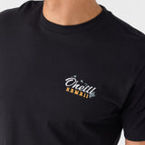 Aina Standard Fit Tee