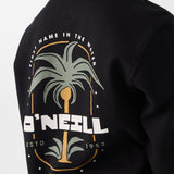 Boy's Fifty Two Pullover Fleece