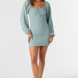 Tegan Smocked Knit Long Sleeve Mini Dress