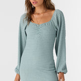 Tegan Smocked Knit Long Sleeve Mini Dress