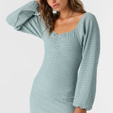 Tegan Smocked Knit Long Sleeve Mini Dress