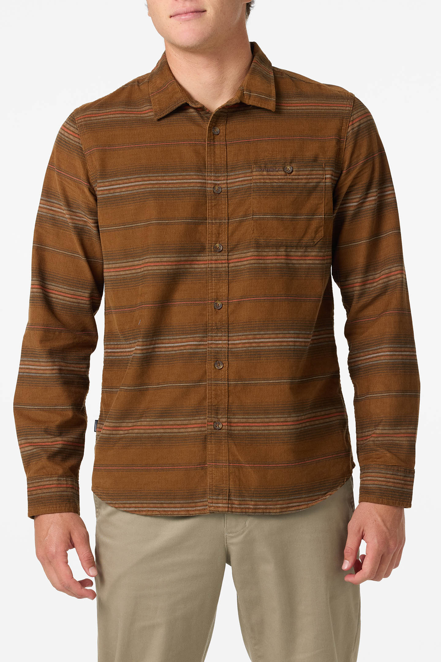 Caruso Stripe Cord Standard Fit Long Sleeve Shirt - Dachshund | O