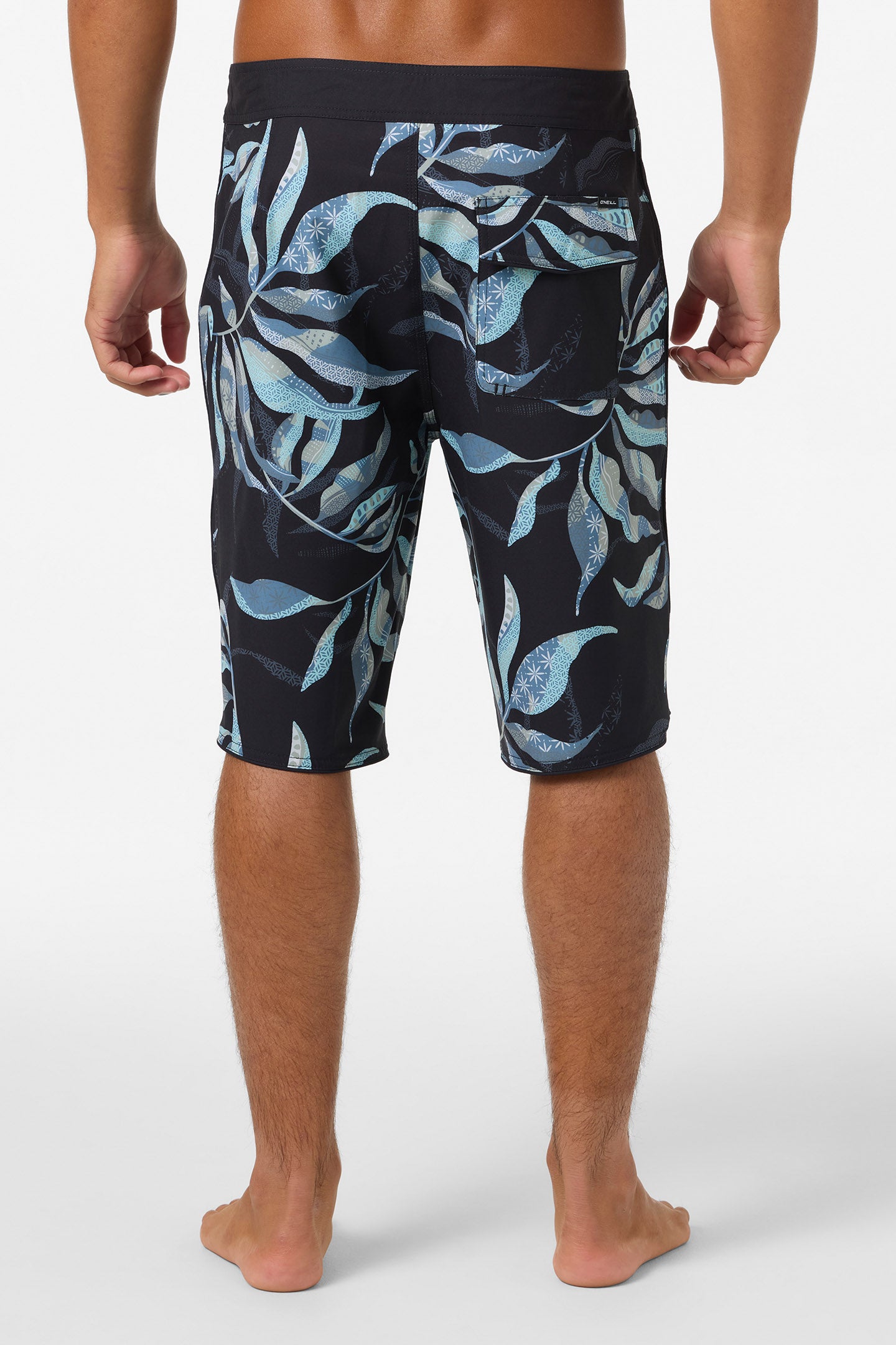 Hyperfreak Mysto Scallop 21