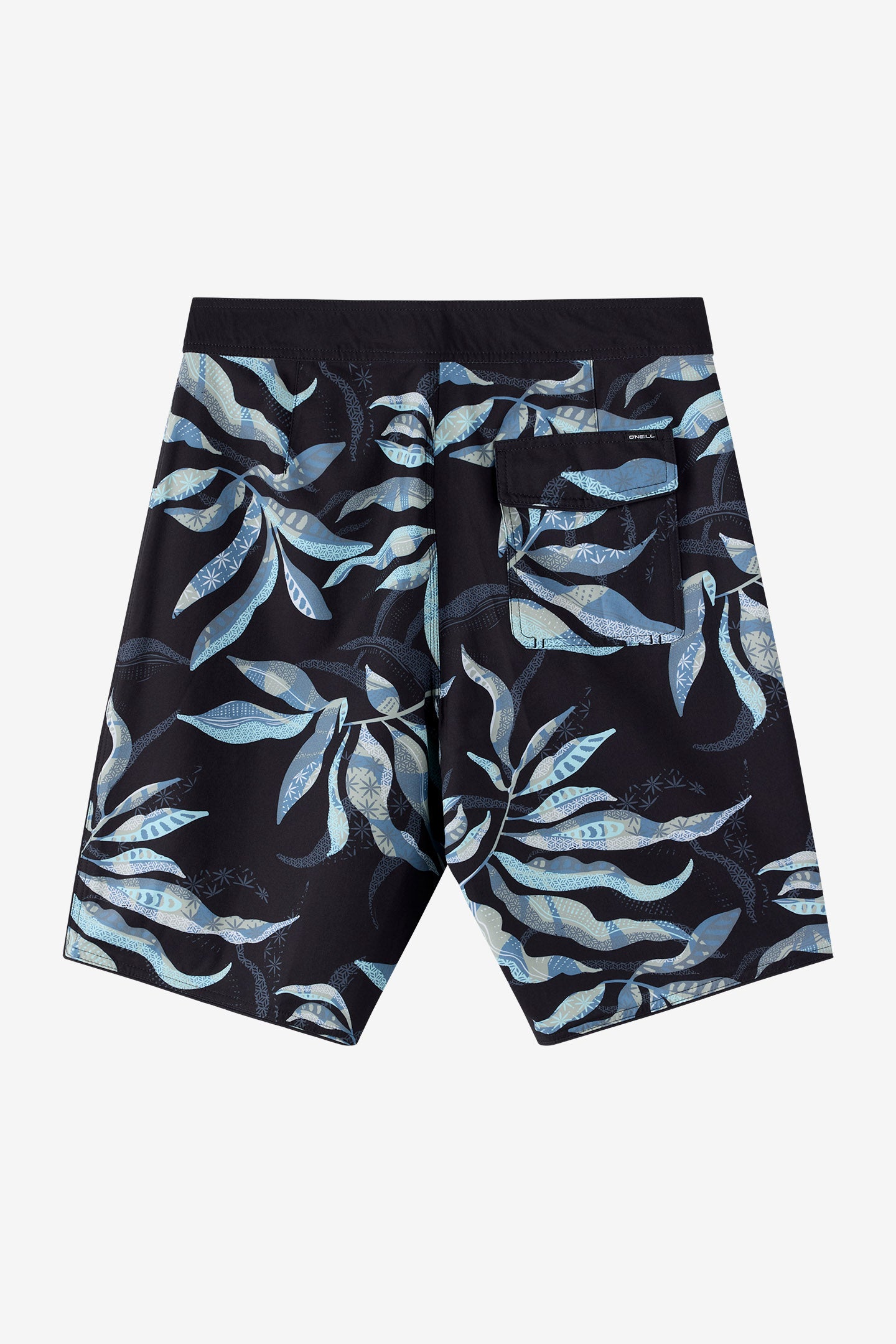 Hyperfreak Mysto Scallop 21