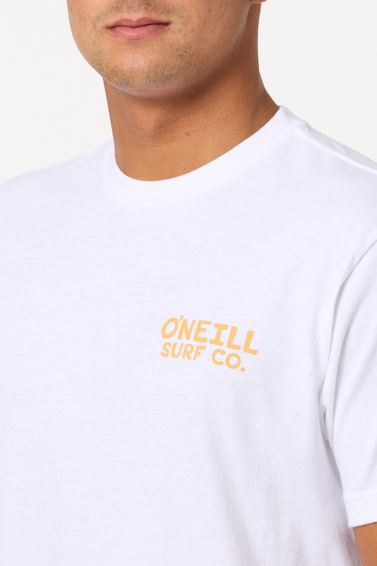 Steven Seagull Standard Fit Tee - White | O'Neill
