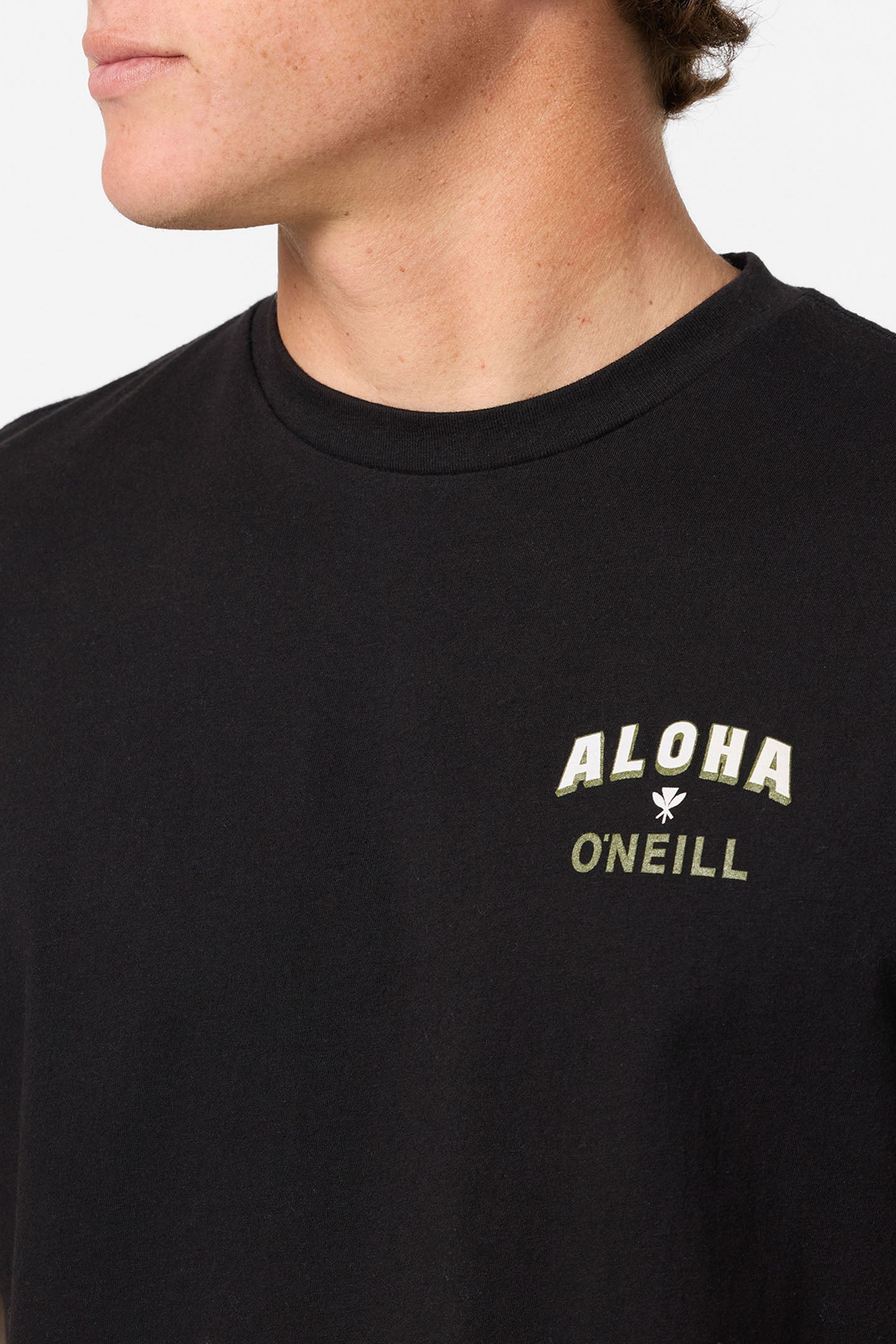 Hawaii Aloha Standard Fit Tee - Black | O'Neill