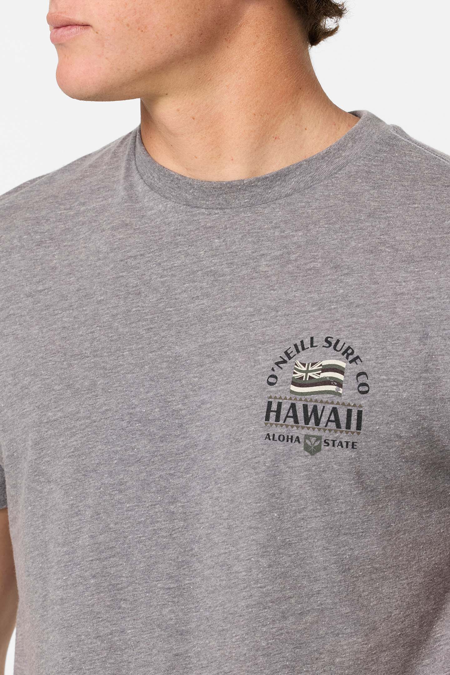Hawaii Flag Standard Fit Tee - Heather Grey | O'Neill