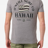 Hawaii Flag Standard Fit Tee - Heather Grey | O'Neill
