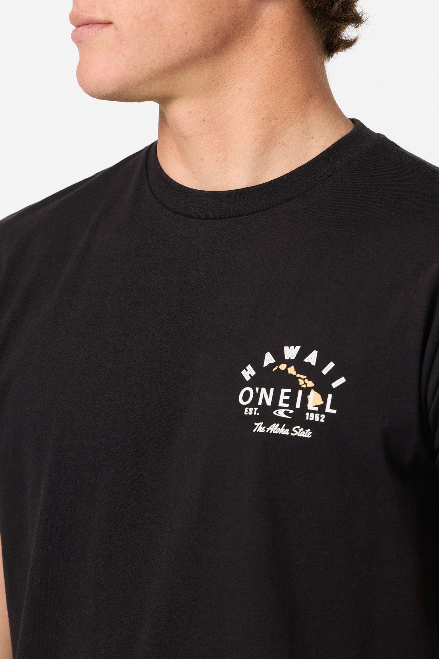 Hawaii Rooster Standard Fit Tee - Black | O'Neill