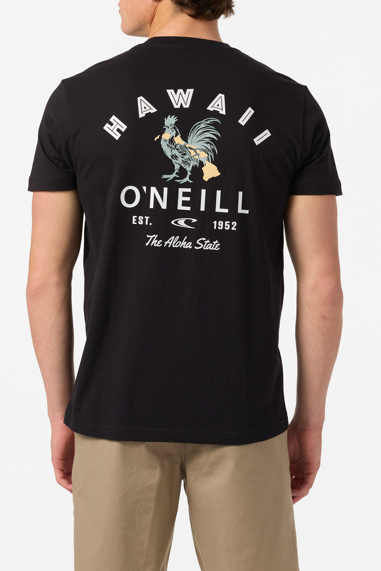 Hawaii Rooster Standard Fit Tee - Black | O'Neill