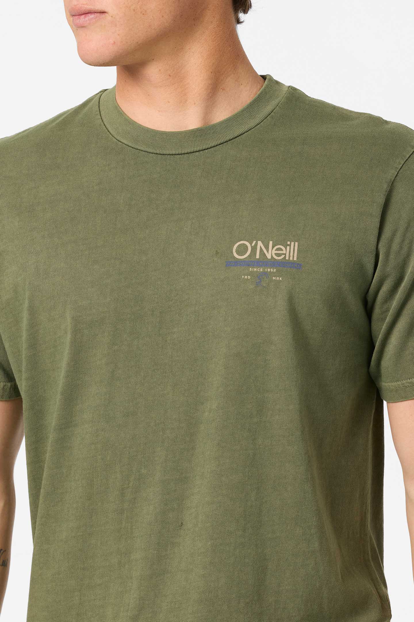 O'Riginals Wordmark Relaxed Fit Tee - Clover | O'Neill