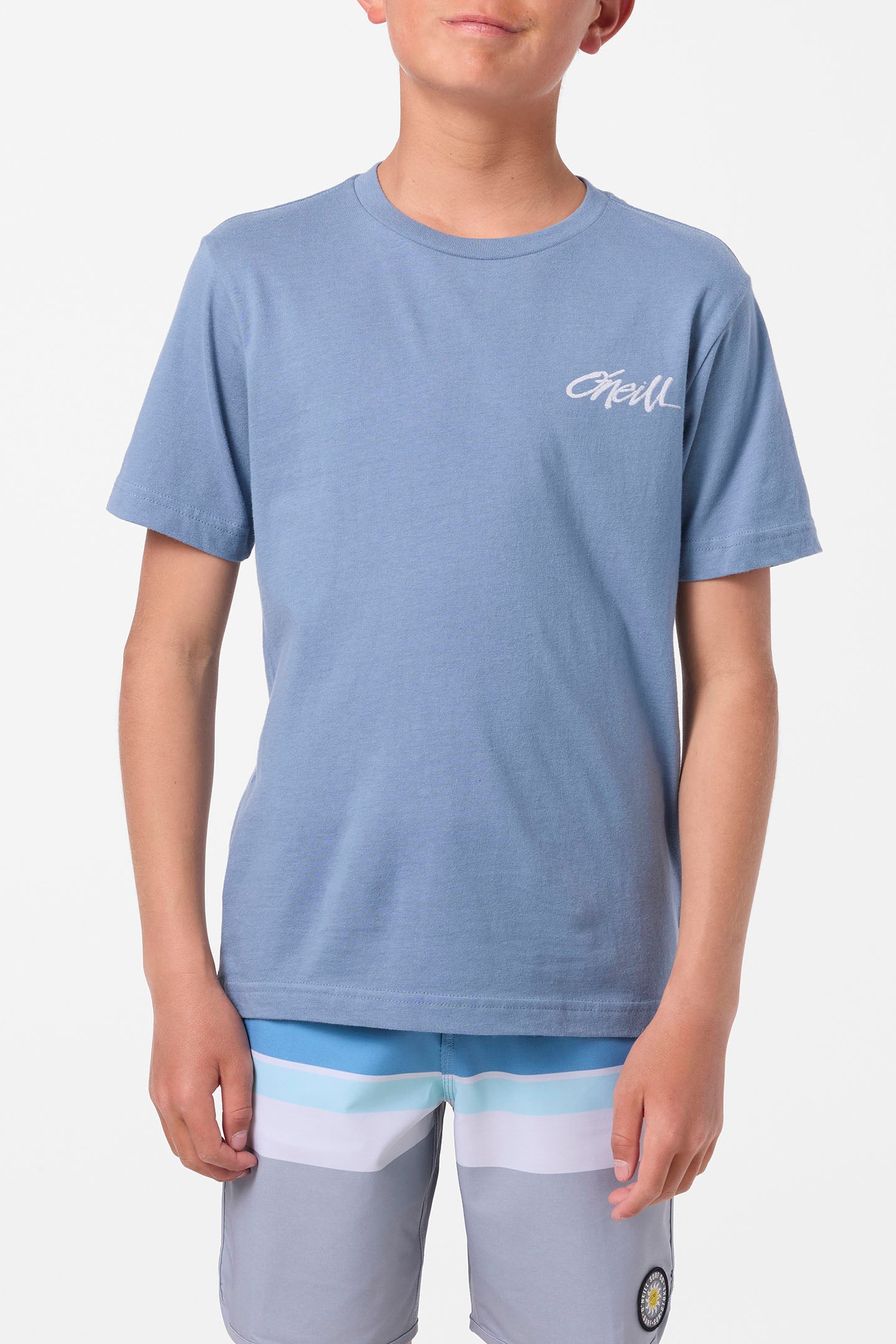 Boy's Home Grown Tee - Blue Mirage | O'Neill
