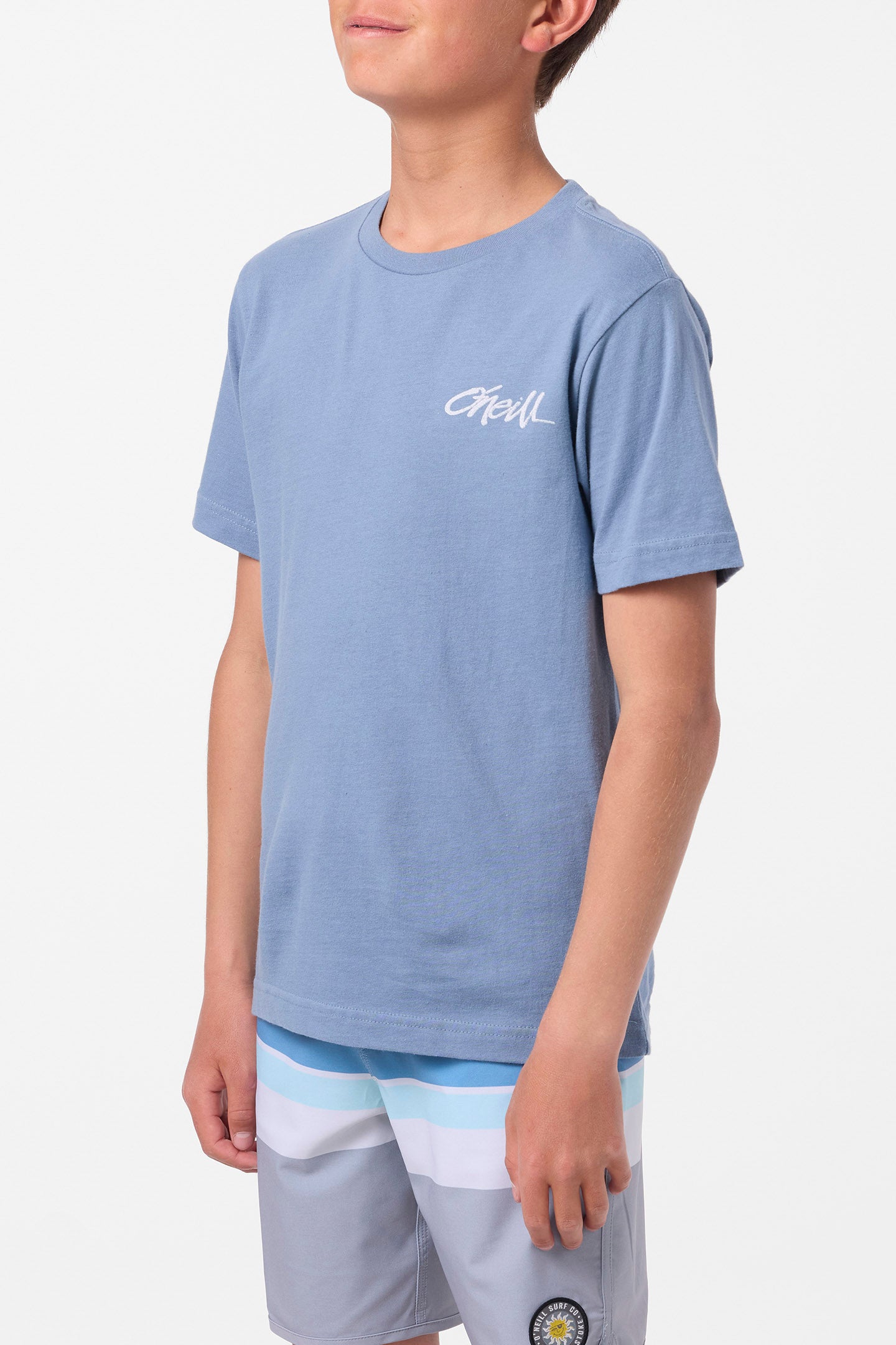 Boy's Home Grown Tee - Blue Mirage | O'Neill