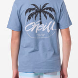 Boy's Home Grown Tee - Blue Mirage | O'Neill