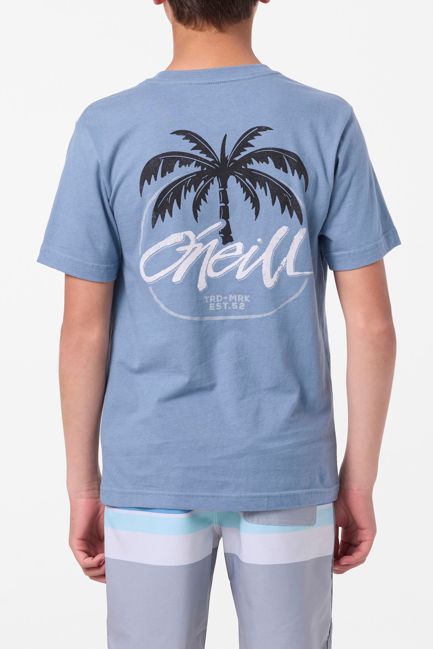 Boy's Home Grown Tee - Blue Mirage | O'Neill