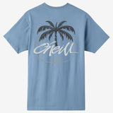 Boy's Home Grown Tee - Blue Mirage | O'Neill