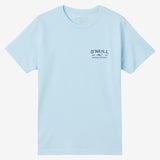 Boy's Layered Up Tee