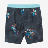 Hyperfreak Heat Variety 20" Boardshorts