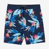 Hyperfreak Heat Variety 20" Boardshorts