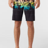 Hyperfreak Heat Variety 20" Boardshorts