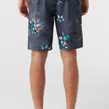 Hyperfreak Heat Variety 20" Boardshorts