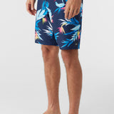 Hyperfreak Heat Variety 20" Boardshorts