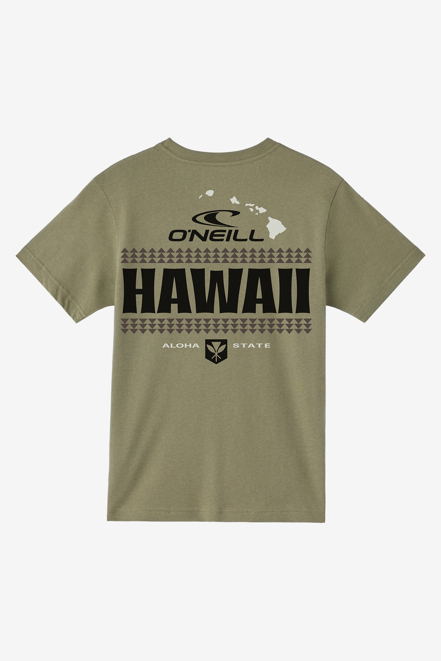 BOY'S HONU TEE