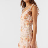 Nellie Chiffon Ruffle Sleeve Dress