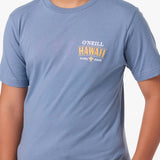 Boy's Hawaii Arch Tee