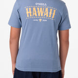 Boy's Hawaii Arch Tee