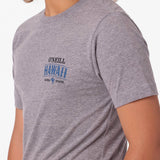 Boy's Hawaii Arch Tee