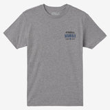 Boy's Hawaii Arch Tee