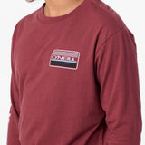 Boy's Banner Long Sleeve Tee